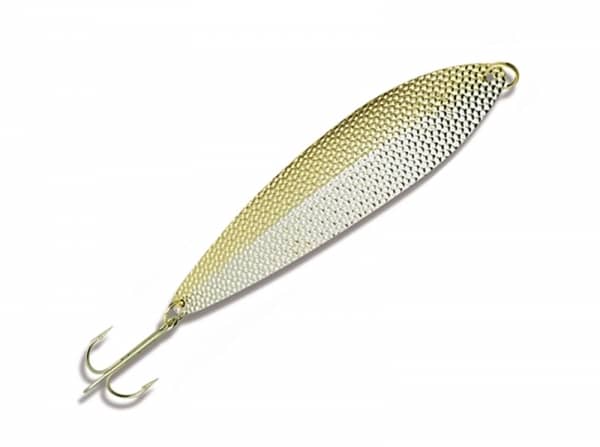 Whitefish