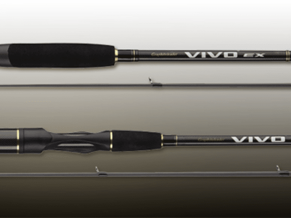 Vivo EX