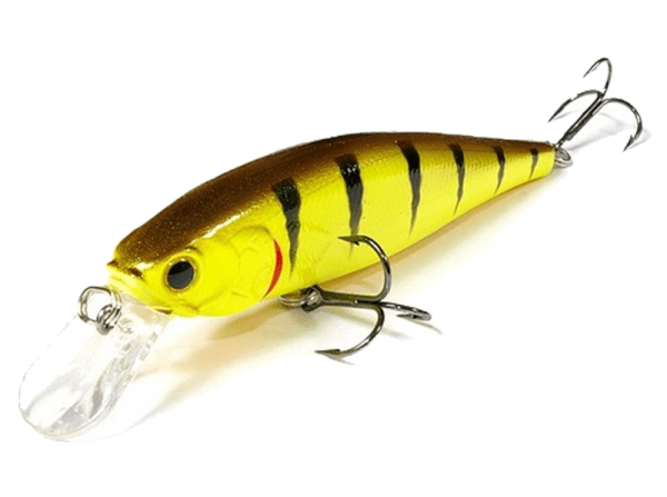 Pointer 100SP