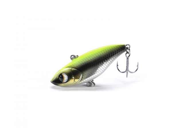 Bigeye Viper V55