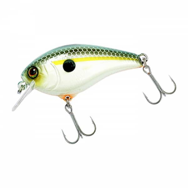 ss shad