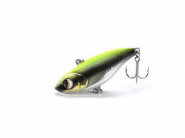 Bigeye Viper V55
