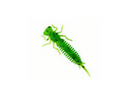 X-Larva