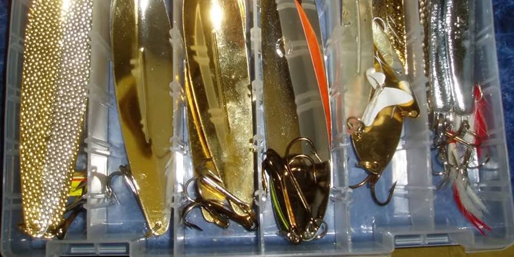 Williams Whitefish